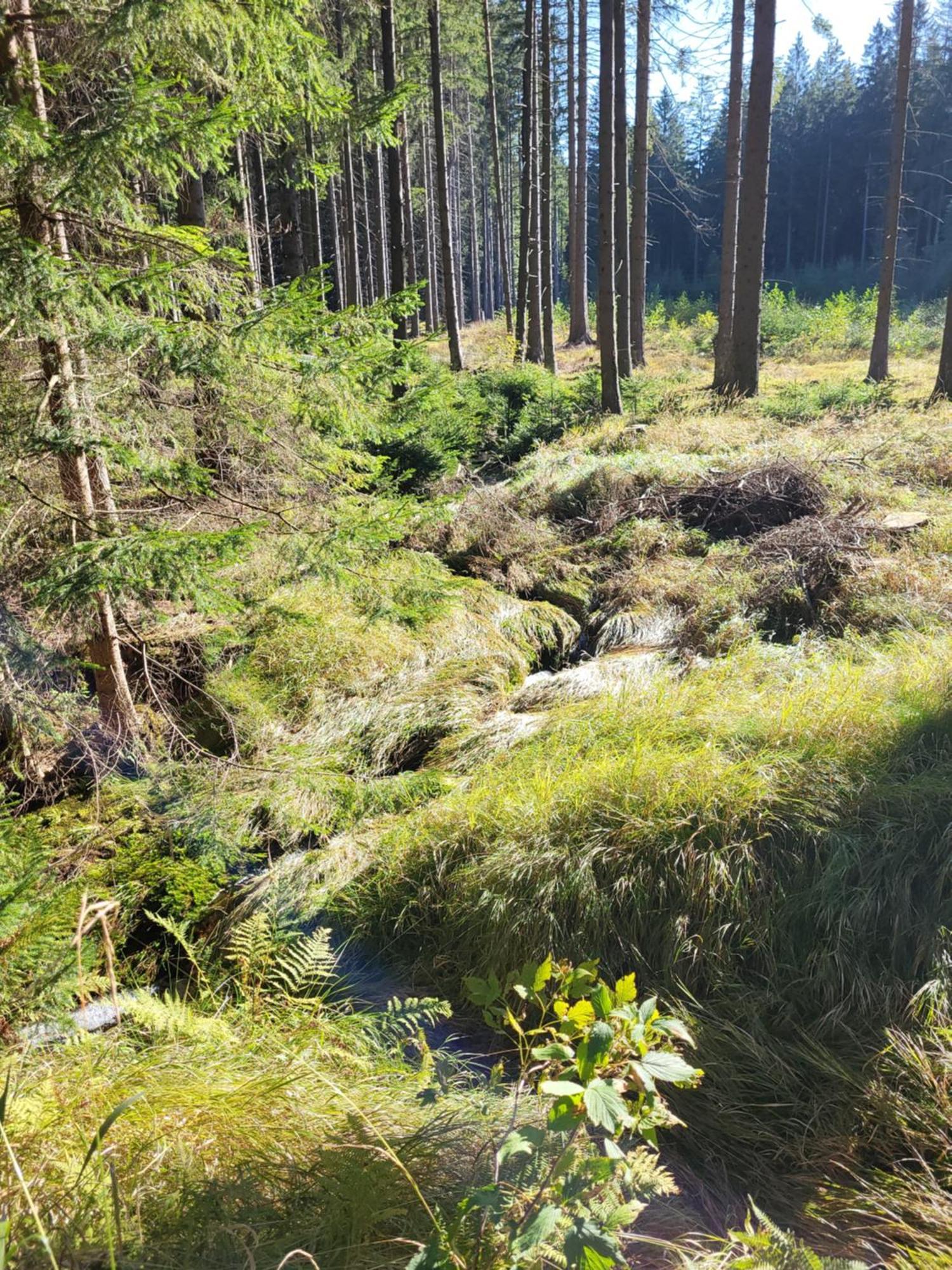 Chatička na Cikánce Svratka Exterior foto